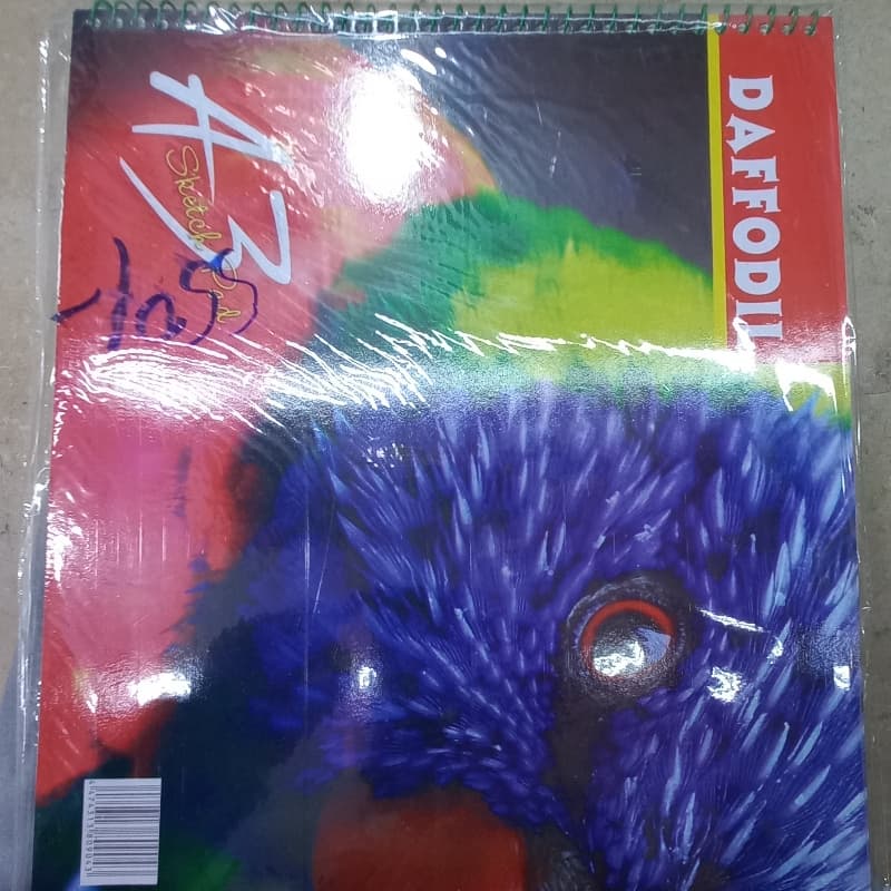 A3 Scholar Sheet Skecth Book